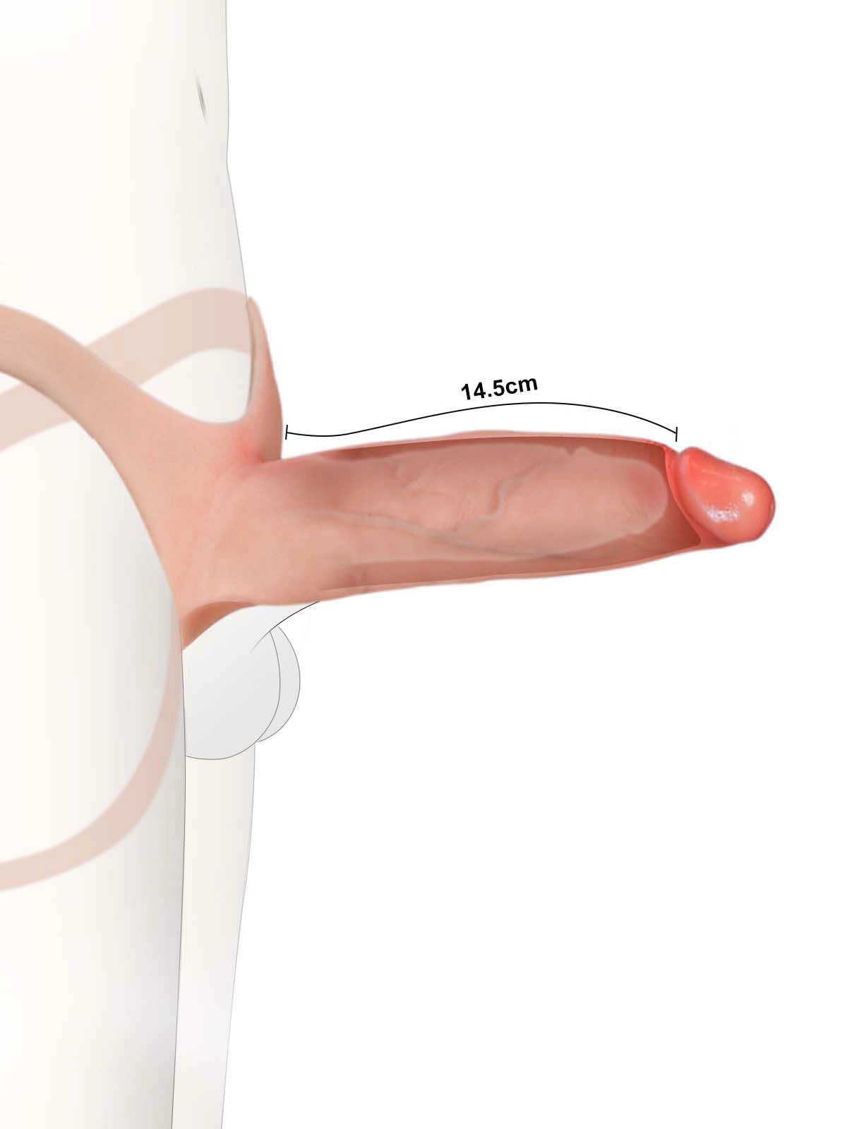 Leon | Hohler Umschnalldildo wahlweise weich oder fest | 19 cm